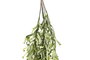 DKD Home Decor Ramas PE Surtidas 20x20x146 cm
