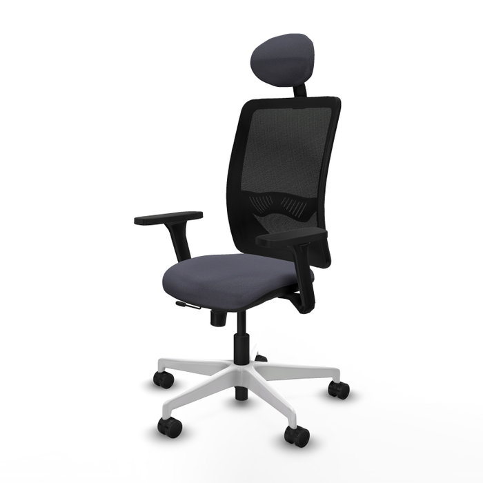 PIQUERAS Y CRESPO Silla de oficina Zulema con mecanismo Sincro/Traslack, Gris oscuro y Negro PIQUERAS Y CRESPO Silla de oficina Zulema con mecanismo Sincro/Traslack, Gris oscuro y Negro