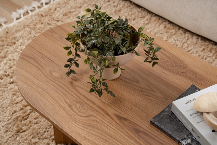 Nordure Mesa de Centro Oval 120cm Ancho x 60cm Alto x 40cm Fondo en MDF