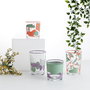 Vaso Bajo Vidrio Kaleido Quid 38 cL (6 Unidades)