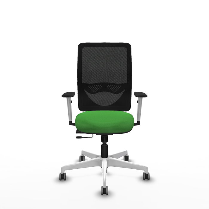 PIQUERAS Y CRESPO Silla de oficina Zulema con mecanismo Sincro/Traslack, Verde y Negro PIQUERAS Y CRESPO Silla de oficina Zulema con mecanismo Sincro/Traslack, Verde y Negro