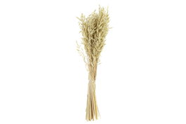 DKD Home Decor Ramo de Flores Secas de Avena Verde 16x16x60 cm