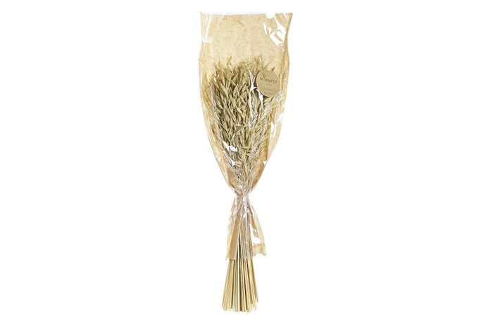 DKD Home Decor Ramo de Flores Secas de Avena Verde 16x16x60 cm DKD Home Decor Ramo de Flores Secas de Avena Verde 16x16x60 cm