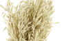 DKD Home Decor Ramo de Flores Secas de Avena Verde 16x16x60 cm