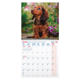 Dohe Calendario de Pared Imágenes Perros 2027