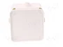 ELEKTRO-PLAST NASIELSK FAST-BOX Caja de conexiones IP55 Blanco