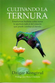 Cultivando la ternura, Dzigar Kongtrul - Dharma
