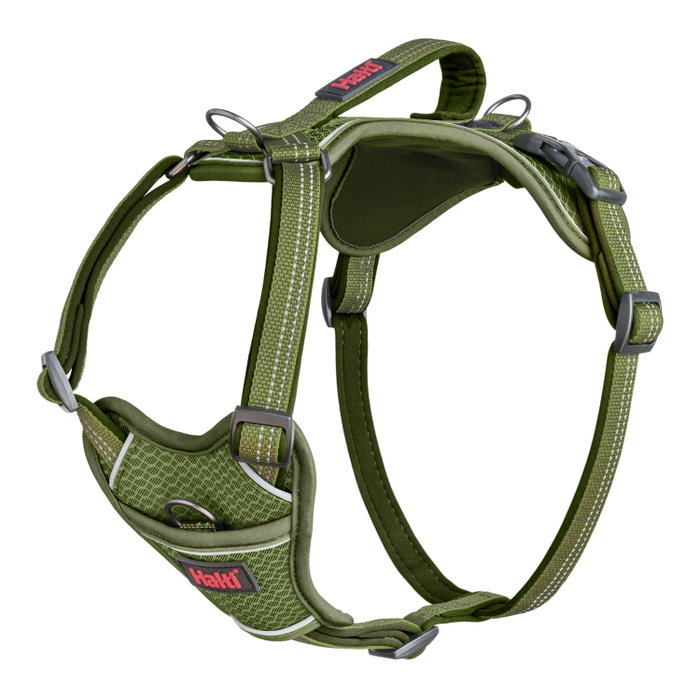 Halti Anatomy Arnés Verde L Cuerpo 60-85 cm (Set de 24) Halti Anatomy Arnés Verde L Cuerpo 60-85 cm (Set de 24)