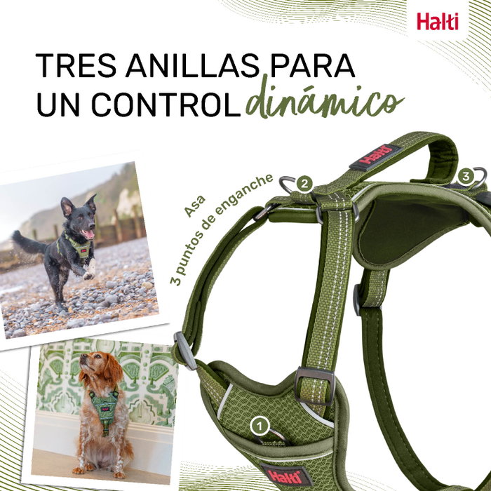 Halti Anatomy Arnés Verde L Cuerpo 60-85 cm (Set de 24) Halti Anatomy Arnés Verde L Cuerpo 60-85 cm (Set de 24)