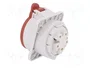 PAWBOL Conector de alimentación AC trifásico hembra 32A 400V