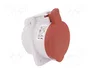 PAWBOL Conector de alimentación AC trifásico hembra 32A 400V