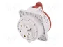 PAWBOL Conector de alimentación AC trifásico hembra 32A 400V