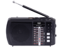 Trevi Mini radio RA 7F20
