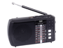 Trevi Mini radio RA 7F20