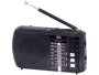 Trevi Mini radio RA 7F20