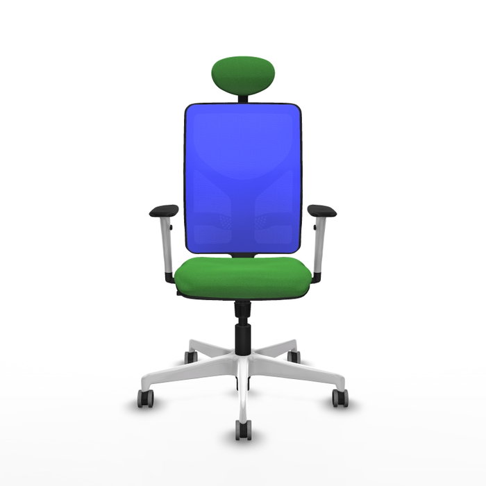 PIQUERAS Y CRESPO Silla de oficina Motilla con mecanismo Sincro, Verde y Azul PIQUERAS Y CRESPO Silla de oficina Motilla con mecanismo Sincro, Verde y Azul