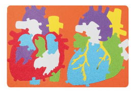 Goma Eva Fixo Kids Puzle 23X32 Cm. Sistema Cardiaco