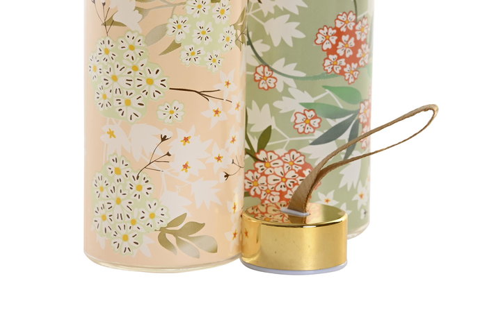 DKD Home Decor Surtido de 2 Botellas de Borosilicato 550 ml, Verde y Beige