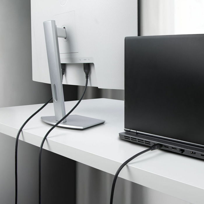 Cable VGA Startech DP14MDPMM10F Negro 3 m