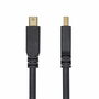 Cable VGA Startech DP14MDPMM10F Negro 3 m