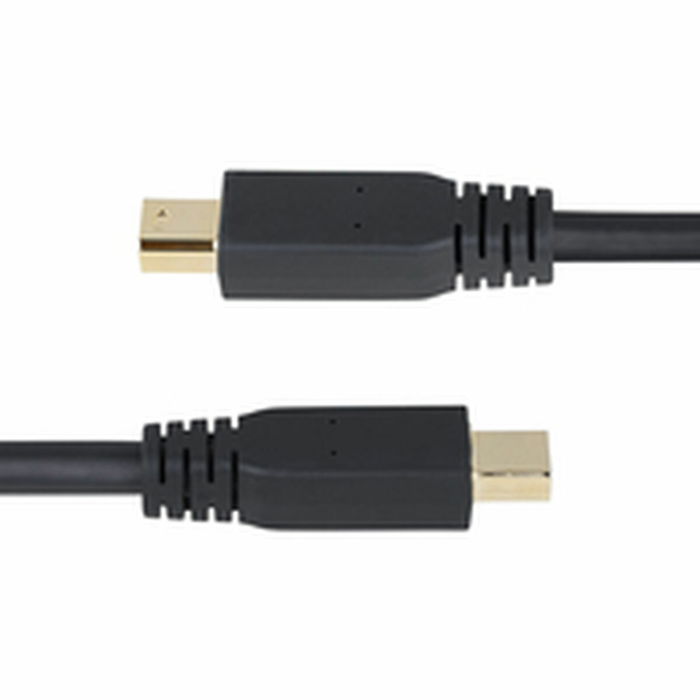 Cable VGA Startech DP14MDPMM10F Negro 3 m