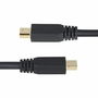 Cable VGA Startech DP14MDPMM10F Negro 3 m