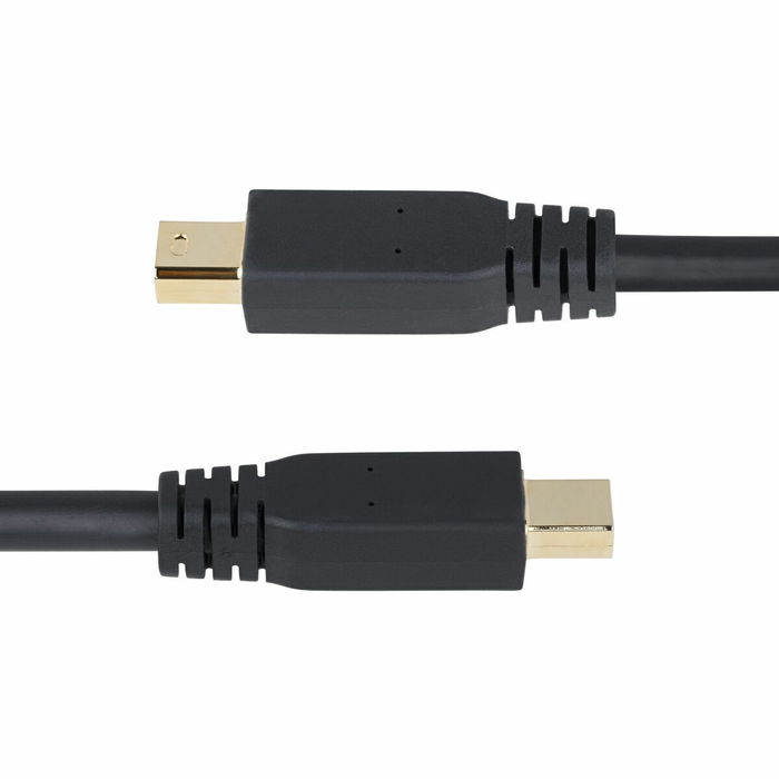 Cable VGA Startech DP14MDPMM10F Negro 3 m