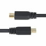 Cable VGA Startech DP14MDPMM10F Negro 3 m
