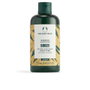 The Body Shop Ginger Champú Anticaspa 250 ml