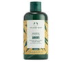 The Body Shop Ginger Champú Anticaspa 250 ml