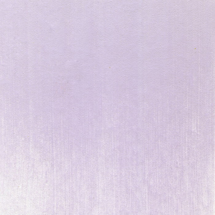 Panpastel 470.8 Tinte Violeta Panpastel 470.8 Tinte Violeta