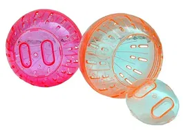 Freedog Hamster Ball Rueda para Hámster de 15 cm