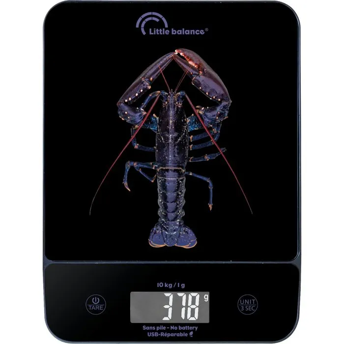 Little Balance Balanza de Cocina Digital 8710 Happy Genius 10, Sin Pilas, USB, Color Blue Lobster Little Balance Balanza de Cocina Digital 8710 Happy Genius 10, Sin Pilas, USB, Color Blue Lobster