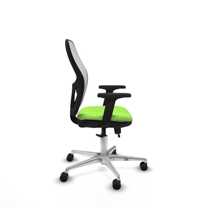 PIQUERAS Y CRESPO Silla de oficina Jorquera con mecanismo Sincro/Traslack, Tela Pistacho y Malla Blanca PIQUERAS Y CRESPO Silla de oficina Jorquera con mecanismo Sincro/Traslack, Tela Pistacho y Malla Blanca