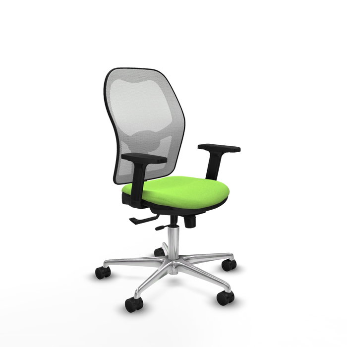 PIQUERAS Y CRESPO Silla de oficina Jorquera con mecanismo Sincro/Traslack, Tela Pistacho y Malla Blanca PIQUERAS Y CRESPO Silla de oficina Jorquera con mecanismo Sincro/Traslack, Tela Pistacho y Malla Blanca