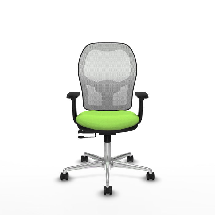 PIQUERAS Y CRESPO Silla de oficina Jorquera con mecanismo Sincro/Traslack, Tela Pistacho y Malla Blanca PIQUERAS Y CRESPO Silla de oficina Jorquera con mecanismo Sincro/Traslack, Tela Pistacho y Malla Blanca