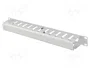 Lanberg Organizador de cables 1U 19 pulg gris con tapa tipo A
