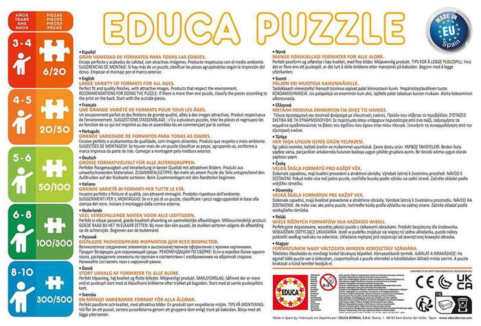 Educa Puzzle 2x48 Piezas Disney Princess, 2 Puzzles Infantiles, Recomendado de 4 a 6 Años, Idiomas: Español e Inglés