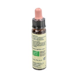 Flores de Bach Remedio Original Nº 33 Walnut/Noce - Elixir Floral Ecológico - 10 ml