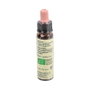 PLANTIS WALNUT PLANTIS flores de bach Nº 33 10ml