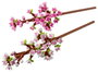 LEGO Flores de Cerezo 40725, 430 piezas, Multicolor