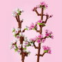 LEGO Flores de Cerezo 40725, 430 piezas, Multicolor