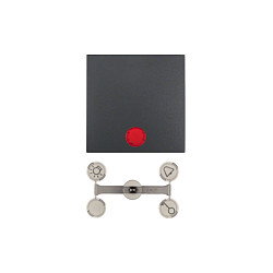 BERKER 1621 16 06 Wippe Kontroll- ANT B.1/B.3 mit Linsen