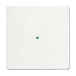 BUSCH-JAEGER Tapa protectora para montaje de detector 2CKA006220A0481 Blanco
