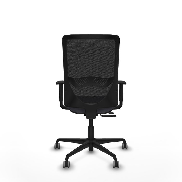 PIQUERAS Y CRESPO Silla de oficina Zulema con mecanismo Sincro/Traslack, Gris oscuro y Negro PIQUERAS Y CRESPO Silla de oficina Zulema con mecanismo Sincro/Traslack, Gris oscuro y Negro