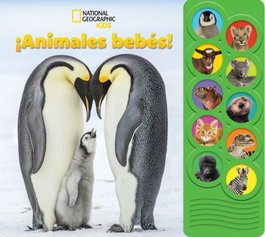 PI KIDS, National geographic kids: ¡Animales bebés!
