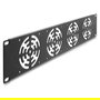 DeLOCK 67416 Panel Trasero 2U Rack 19 Pulgadas para 4 Ventiladores 80 x 80 mm, Gris Oscuro, Metal