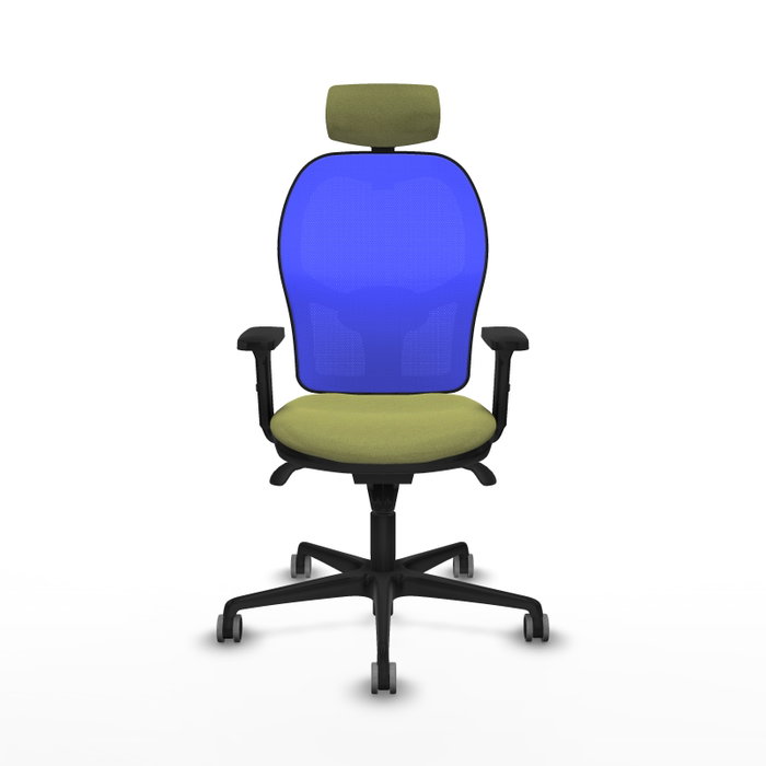 PIQUERAS Y CRESPO Silla de oficina Jorquera con mecanismo Sincro, Verde oliva y Azul PIQUERAS Y CRESPO Silla de oficina Jorquera con mecanismo Sincro, Verde oliva y Azul