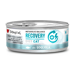 Disugual Diet Cat Recovery Lenguado 12x85g