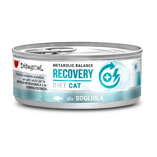 Disugual Diet Cat Recovery Lenguado 12x85g Disugual Diet Cat Recovery Lenguado 12x85g